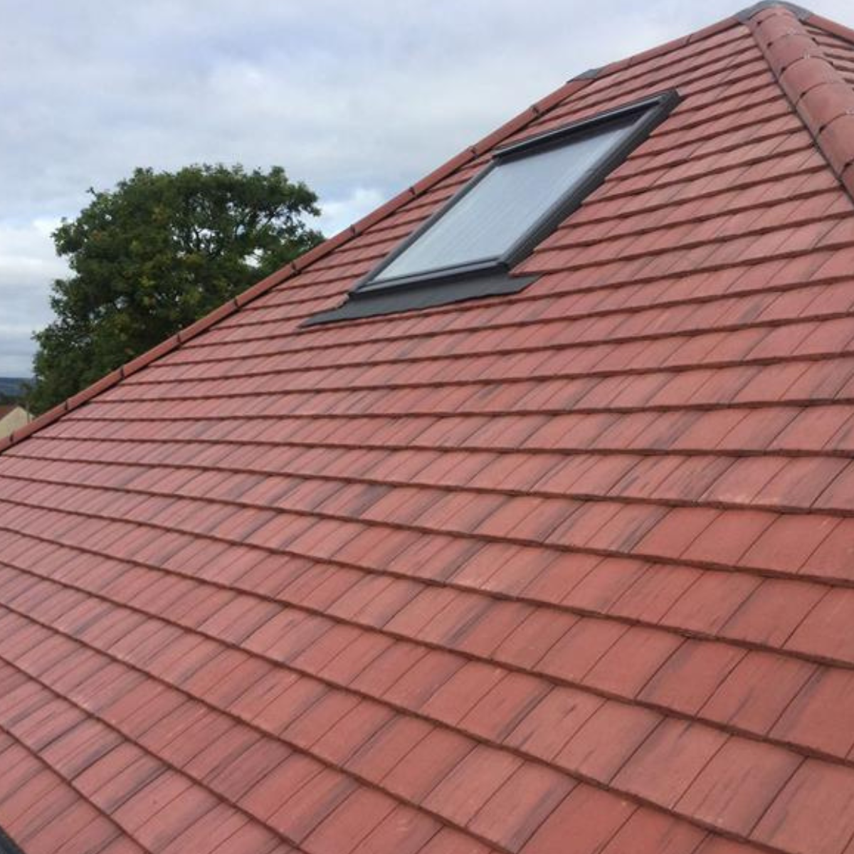 Ace Roofing & Building roofing project 2